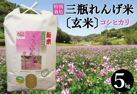 大田市産の純粋はちみつ（300g×2本セット）【はちみつ 蜂蜜 ハチミツ 300g 2本 セット 詰め合わせ 純粋蜂蜜 熟成蜂蜜 プレゼント ギフト  贈り物】: 大田市ANAのふるさと納税