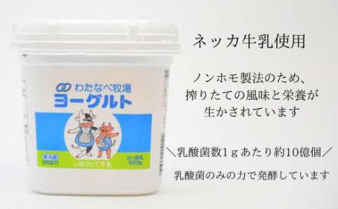 ヨーグルト500ｇ（プレーン）6個セット【無糖 ネッカ牛乳 ノンホモ製法 セット 搾りたて 栄養 こだわり おやつ デザート 朝食 スイーツ 自然派 化学合成物質不使用 安心 乳製品 乳酸菌 腸活 健康 島根県 安来市】