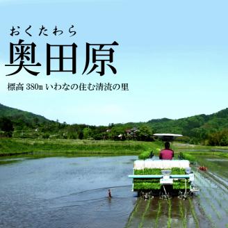 安来のお米　こりゃう米（まい）白米 7kg 令和7年産 【7㎏ 精米 コシヒカリ お米 美味しい おすすめ 安全 安来市産 島根県 安来市】