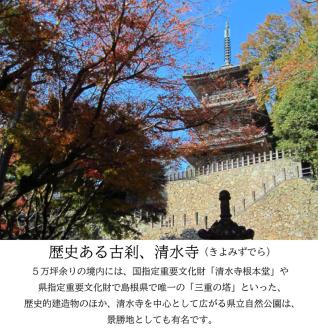 松琴舘 ご宿泊券 5,000円分【宿泊券 精進料理 安来清水寺 和食 チケット 旅館 旅行 旅 癒し 宿 リフレッシュ 自然 ご褒美 島根県 安来市】