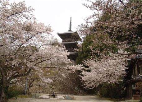 境内の宿 紅葉館 ご宿泊券 5,000円分【宿泊券 安来清水寺 精進料理 宿 旅館 旅 旅行 チケット 癒し リフレッシュ ヘルシー おもてなし ご褒美 自然 島根県 安来市】