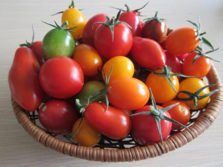 ジュエルトマト詰め合わせ【高糖度 フルーツトマト トマト 甘い 完熟 栄養 セット 詰め合わせ 樹上完熟 完熟 野菜 ベジタブル 島根県 安来市】