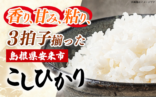 食味鑑定士厳選　島根こしひかり 5kg（5kg×1袋）【米 コシヒカリ 令和7年産 精米 島根県 安来市】【17-UF-01】