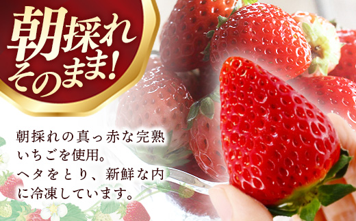 冷凍いちご （ヘタカット済み 500gの小分け袋 x 2個入り）【苺 イチゴ 冷凍 果物 フルーツ 完熟 甘い 紅ほっぺ あきひめ ジャム シャーベット スムージー 島根県 安来市 安来市産】