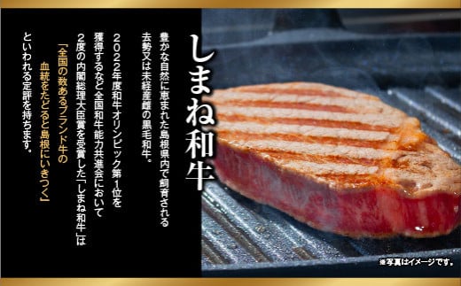 【定期便 ６か月】しまね和牛 希少 最高峰シャトーブリアン 200g×2枚 【黒毛和牛 ステーキ 牛肉 和牛 ブランド牛 ヒレ 冷凍 A4ランク以上 赤身 フィレ ヘレ ステーキ 希少部位 贅沢 おもてなし ギフト 贈答用 国産 島根県 安来市】