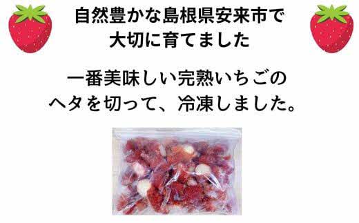 冷凍完熟いちご 1kg【 苺 イチゴ 冷凍 果物 フルーツ ミックス 完熟 かおり野 紅ほっぺ よつぼし 甘味 酸味 甘酸っぱい シャーベット スムージー 島根県 安来市 安来市産】