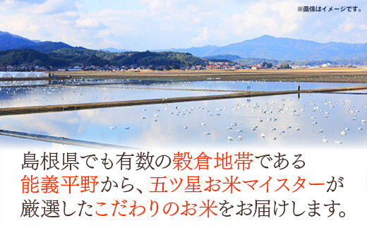 五ツ星お米マイスター厳選 能義平野のきぬむすめ 7kg 【令和7年産 白米 精米 ご飯 美味しい 安心 安全 沼田米穀店 島根県 安来市】【19-NB-03】