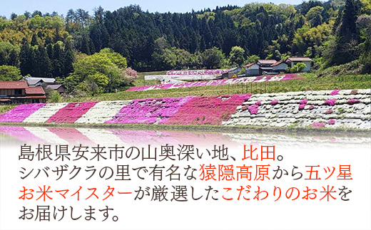【定期便】 五ツ星お米マイスター厳選 猿隠高原比田米コシヒカリ 5kg×6ヵ月 【令和7年産 ５KG×６回 毎月 配送 計30kg 精米 白米 ご飯 お米 こしひかり シバザクラの里 清流 美味しい 安心 安全 沼田米穀店 島根県 安来市】【95-NB-05】