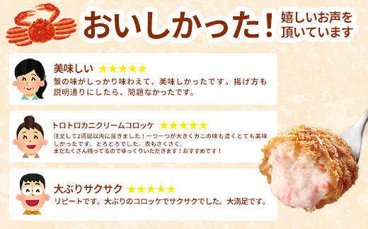 【定期便】山陰ごほうびコロッケ16個入 隔月3回【80g 16個 カニ クリーム コロッケ ごほうび ごちそう 美味しい パーティー おもてなし 人気 簡単 時短 タイムパフォーマンス 小分け べにずわいがに ズワイガニ とろとろ 定期便 冷凍 おかず 惣菜 島根県 安来市】