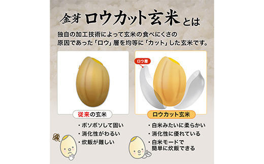 金芽ロウカット玄米 島根県産 きぬむすめ 2kg （2kg×1袋）≪ 栽培期間中 農薬・化学肥料不使用 ≫【令和7年産 ロウカット 玄米 時短 食物繊維 無洗米 金芽米 小分け 新生活応援 お試し 食べやすい 安来市 東洋ライス 】【10-SS-78】 2kg（2kg×1袋）