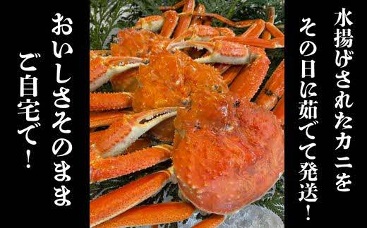 【訳あり】松葉ガニ1kg（2～3枚入り）