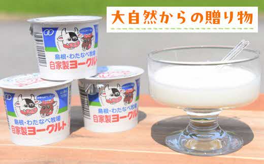 【定期便6回】わたなべ牧場のヨーグルトセット24個【ヨーグルト 加糖 牧場 生乳 こだわり 甘み 搾りたて 安心 自然派 化学合成物質不使用 定期便 島根県 安来市】