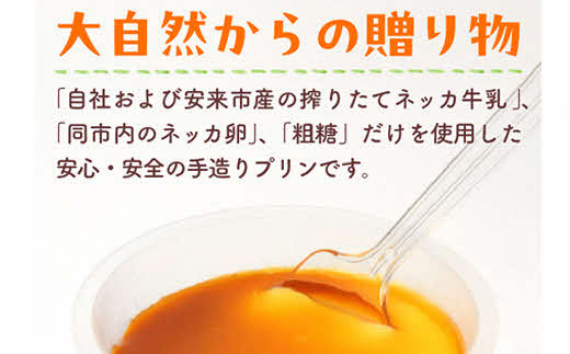 手造りプリン12個セット【冷蔵 ネッカ牛乳 ネッカ卵 蒸しプリン ソース別 素朴 デザート スイーツ おやつ グルメ ご褒美 新鮮 生乳 搾りたて 自然派 島根県 安来市】