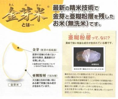 定期便】BG無洗米・金芽米にこまる 5kg×6回 （隔月） ［令和5年産