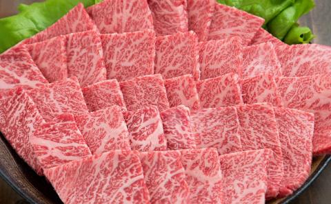 しまね和牛　詰合せ【しまね和牛 サーロイン ステーキ カルビ セット 焼肉 とろける やわらかい ごちそう 美味しい 肉 牛肉 和牛 黒毛和牛 ブランド牛 おすすめ 冷凍 ギフト 贈り物 島根県 安来市】