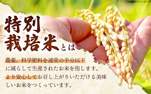 比田米 特別栽培コシヒカリ(精米)5kg【令和7年産 米 お米 こしひかり ごはん ご飯 有機肥料 国産 お弁当 美味しい 人気 おすすめ 島根県産 島根県 安来市】