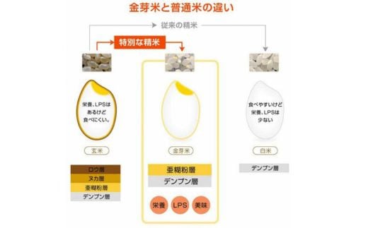 【定期便】BG無洗米・金芽米にこまる 5kg×3ヵ月 （毎月）計量カップ付き【令和7年産 3ヶ月 時短 健康 米 BG 無洗米 計15kg 島根県産 節水 時短 アウトドア キャンプ 東洋ライス 健康 島根県 安来市】【価格改定X】 にこまる　計量カップ付き