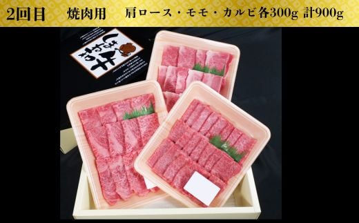 【定期便3回】美味しいしまね和牛を毎月楽しむ （肩ロース、カルビ、モモ）【黒毛和牛 おすすめ 冷凍 和牛オリンピック 肉質NO.1 セット 詰め合わせ ブランド牛 和牛 国産 肉 牛肉 赤身 霜降り ジューシー モモ肉 ロース すき焼き しゃぶしゃぶ 焼肉 ステーキ 島根県 安来市】【価格改定】