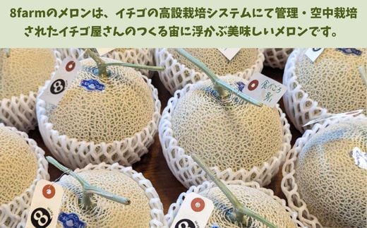 Ton de メロン 2品種食べ比べ♪【ペルルグリーンメロン アールスヴェルダメロン フルーツ 果物 食べ比べ 美味しい 甘い 芳醇 しっとり 上品 旬 ご褒美 ギフト 贈り物 ご自宅用 安来 島根県 安来市】