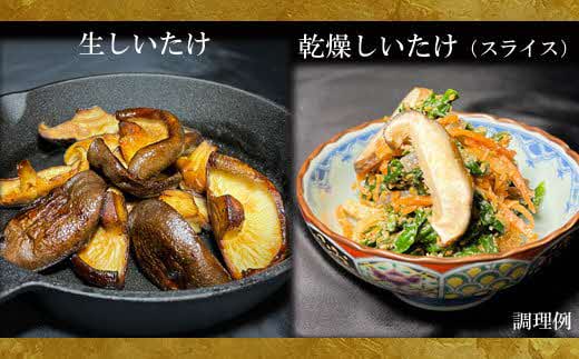 じょうとうじい茸3袋セット【しいたけ 椎茸 城東化成 乾燥しいたけ 干ししいたけ スライス きのこ セット 国産 おかず 炒め物 和え物 おつゆ 汁物 安全 美味しい 料理 島根県 安来市】