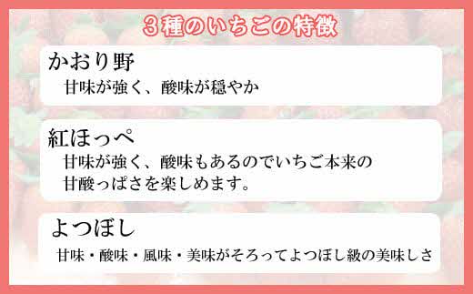 冷凍完熟削りいちご 1kg【 フローズン 苺 イチゴ フルーツ 果物 ミックス かおり野 紅ほっぺ よつぼし 甘酸っぱい 甘味 酸味 おやつ デザート 島根県 安来市 安来市産】