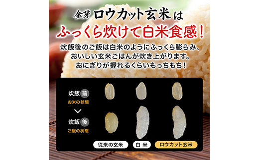 金芽ロウカット玄米 島根県産 きぬむすめ 2kg （2kg×1袋）≪ 栽培期間中 農薬・化学肥料不使用 ≫【令和7年産 ロウカット 玄米 時短 食物繊維 無洗米 金芽米 小分け 新生活応援 お試し 食べやすい 安来市 東洋ライス 】【10-SS-78】 2kg（2kg×1袋）