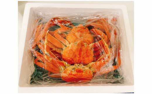 【訳あり】松葉ガニ1kg（2～3枚入り）