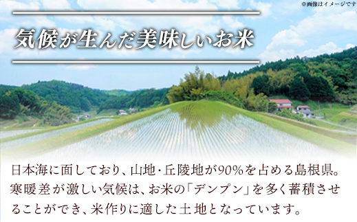 【定期便 3か月】食味鑑定士厳選　島根こしひかり 5kg（5kg×1袋）【白米 コシヒカリ 令和7年産 精米 島根県 安来市】【50-UF-06】