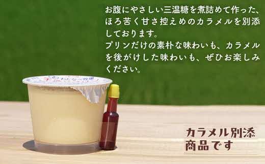 手造りプリン12個セット【冷蔵 ネッカ牛乳 ネッカ卵 蒸しプリン ソース別 素朴 デザート スイーツ おやつ グルメ ご褒美 新鮮 生乳 搾りたて 自然派 島根県 安来市】