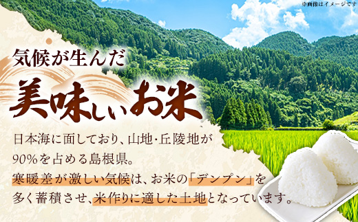 比田米 コシヒカリ(精米)5kg【令和7年産 米 お米 こしひかり ごはん ご飯 国産 お弁当 美味しい 人気 おすすめ 島根県産 島根県 安来市】【価格変更】【15-EC-40】