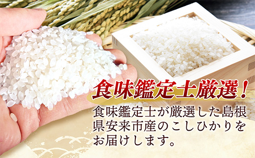 食味鑑定士厳選　島根こしひかり 10kg（5kg×2袋）【米 コシヒカリ 令和7年産 精米 島根県 安来市】【34-UF-02】