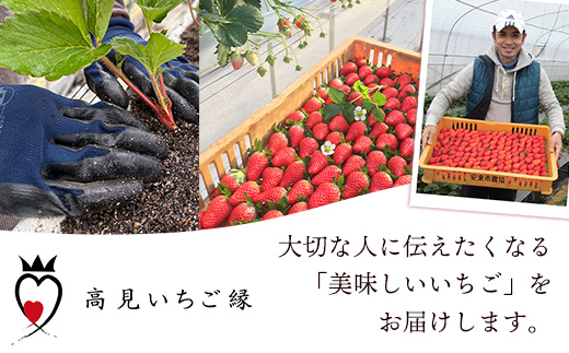 冷凍いちご （ヘタカット済み 500gの小分け袋 x 2個入り）【苺 イチゴ 冷凍 果物 フルーツ 完熟 甘い 紅ほっぺ あきひめ ジャム シャーベット スムージー 島根県 安来市 安来市産】