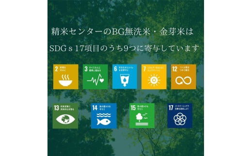 BG無洗米コシヒカリ 5kg×3ヵ月 定期便【毎月】【新米 令和7年産 愛を米 時短 BG 無洗米 こしひかり 島根県産 新生活応援 お試し 節水 アウトドア キャンプ 東洋ライス 】【価格改定】