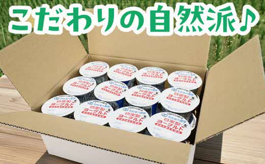 【定期便3回】わたなべ牧場のヨーグルトセット24個【ヨーグルト 加糖 牧場 生乳 こだわり 甘み 搾りたて 安心 自然派 化学合成物質不使用 定期便 島根県 安来市】