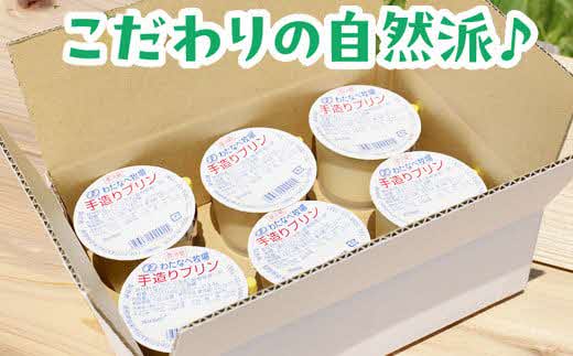 手造りプリン12個セット【冷蔵 ネッカ牛乳 ネッカ卵 蒸しプリン ソース別 素朴 デザート スイーツ おやつ グルメ ご褒美 新鮮 生乳 搾りたて 自然派 島根県 安来市】