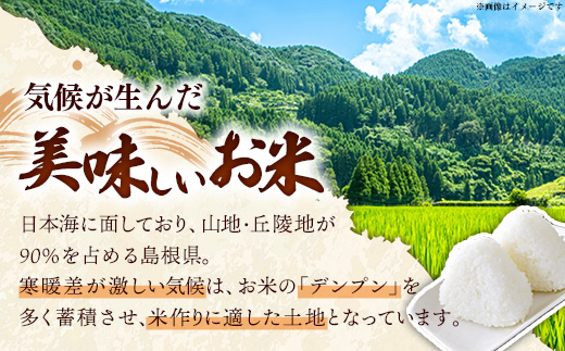 比田米 特別栽培コシヒカリ(精米)3kg【令和7年産 米 お米 こしひかり ごはん ご飯 有機肥料 国産 お弁当 美味しい 人気 おすすめ 島根県産 島根県 安来市】