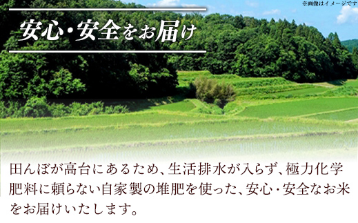 食味鑑定士厳選　島根こしひかり 5kg（5kg×1袋）【米 コシヒカリ 令和7年産 精米 島根県 安来市】【17-UF-01】