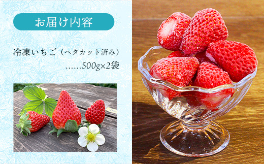 冷凍いちご （ヘタカット済み 500gの小分け袋 x 2個入り）【苺 イチゴ 冷凍 果物 フルーツ 完熟 甘い 紅ほっぺ あきひめ ジャム シャーベット スムージー 島根県 安来市 安来市産】