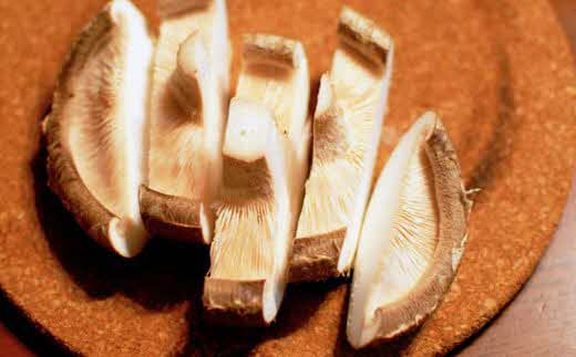 じょうとうじい茸2袋セット【しいたけ 椎茸 城東化成 乾燥しいたけ 干ししいたけ スライス きのこ キノコ セット 安全 おいしい 国産 島根県 安来市】