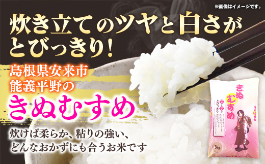 五ツ星お米マイスター 能義平野の「こだわり米」食べ比べセット 10kg 【 令和7年産 コシヒカリ きぬむすめ 各5kgずつ 精米 白米 ご飯 お米 美味しい 安心 安全 沼田米穀店 島根県 安来市】【27-NB-01】