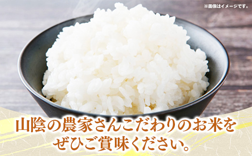 【定期便】五ツ星お米マイスター厳選 能義平野のきぬむすめ 5kg×6ヵ月 【令和7年産 ５KG 6ヶ月 毎月 計30kg 精米 白米 ご飯 お米 美味しい 安心 安全 沼田米穀店 島根県 安来市】【85-NB-11】