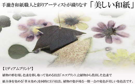 草木染め和紙 アートパネル（ログウッド）【伝統工芸 広瀬和紙 一点もの インテリア 手作り ギフト プレゼント 贈り物 アート 草木染 自然 職人 和紙 広瀬和紙 おしゃれ 植物 島根県 安来市】