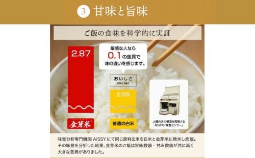 【ご愛顧感謝価格】BG無洗米・金芽米にこまる 10kg （5kg×2袋）【令和7年産 時短 健康 うまみ 甘み 栄養 おいしい やわらかい ふっくら ビタミン ミネラル 島根県 安来市】【価格改定A】【18-SS-65】