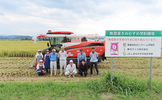 金芽ロウカット玄米 島根県産 きぬむすめ 4kg （2kg×2袋）≪ 栽培期間中 農薬・化学肥料不使用 ≫【令和7年産 ロウカット 玄米 時短 食物繊維 無洗米 金芽米 小分け 新生活応援 お試し 食べやすい 安来市 東洋ライス 】【19-SS-77】 4kg（2kg×2袋）