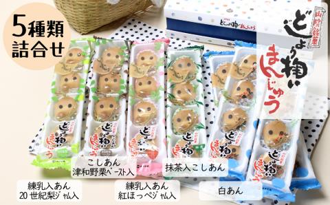 どじょう掬いまんじゅう ５種類セット【饅頭 ひょっとこ おやつ 和菓子 餡子 白餡 こしあん 抹茶あん 梨あん 苺あん セット 食べ比べ 上品 昔ながら 島根県 安来市】【価格改定】