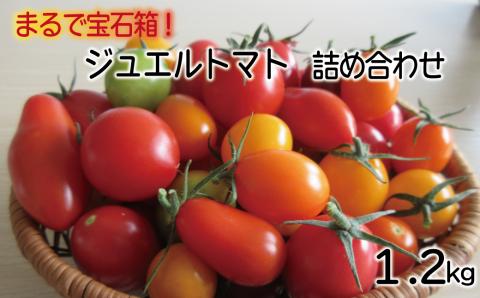 ジュエルトマト詰め合わせ【高糖度 フルーツトマト トマト 甘い 完熟 栄養 セット 詰め合わせ 樹上完熟 完熟 野菜 ベジタブル 島根県 安来市】