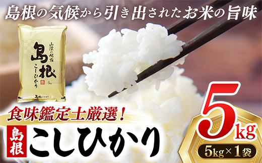 食味鑑定士厳選　島根こしひかり 5kg（5kg×1袋）【米 コシヒカリ 令和7年産 精米 島根県 安来市】【17-UF-01】
