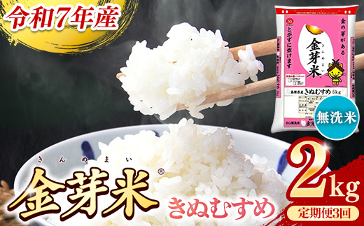 BG無洗米・金芽米きぬむすめ 2kg×3ヵ月 定期便【毎月】【令和7年産 3ヶ月 時短 健康 米 BG 無洗米 計6kg 島根県産 新生活応援 お試し 節水 時短 アウトドア キャンプ 東洋ライス 健康 島根県 安来市】【価格改定X】 きぬむすめ　2kg×3か月定期便