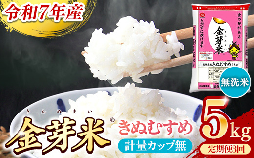 BG無洗米・金芽米きぬむすめ 5kg×3ヵ月 定期便【毎月】計量カップなし【令和7年産 3ヶ月 計15kg 東洋ライス 健康 島根県 安来市】【価格改定X】 きぬむすめ　計量カップ無し