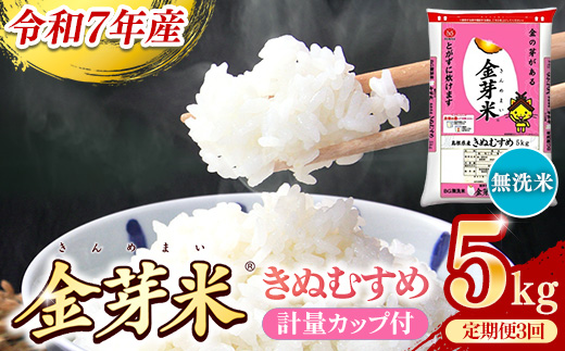 BG無洗米・金芽米きぬむすめ 5kg×3ヵ月 定期便【毎月】計量カップ付き【令和7年産 3ヶ月 計15kg 東洋ライス 健康 島根県 安来市】【価格改定X】 きぬむすめ　計量カップ付き
